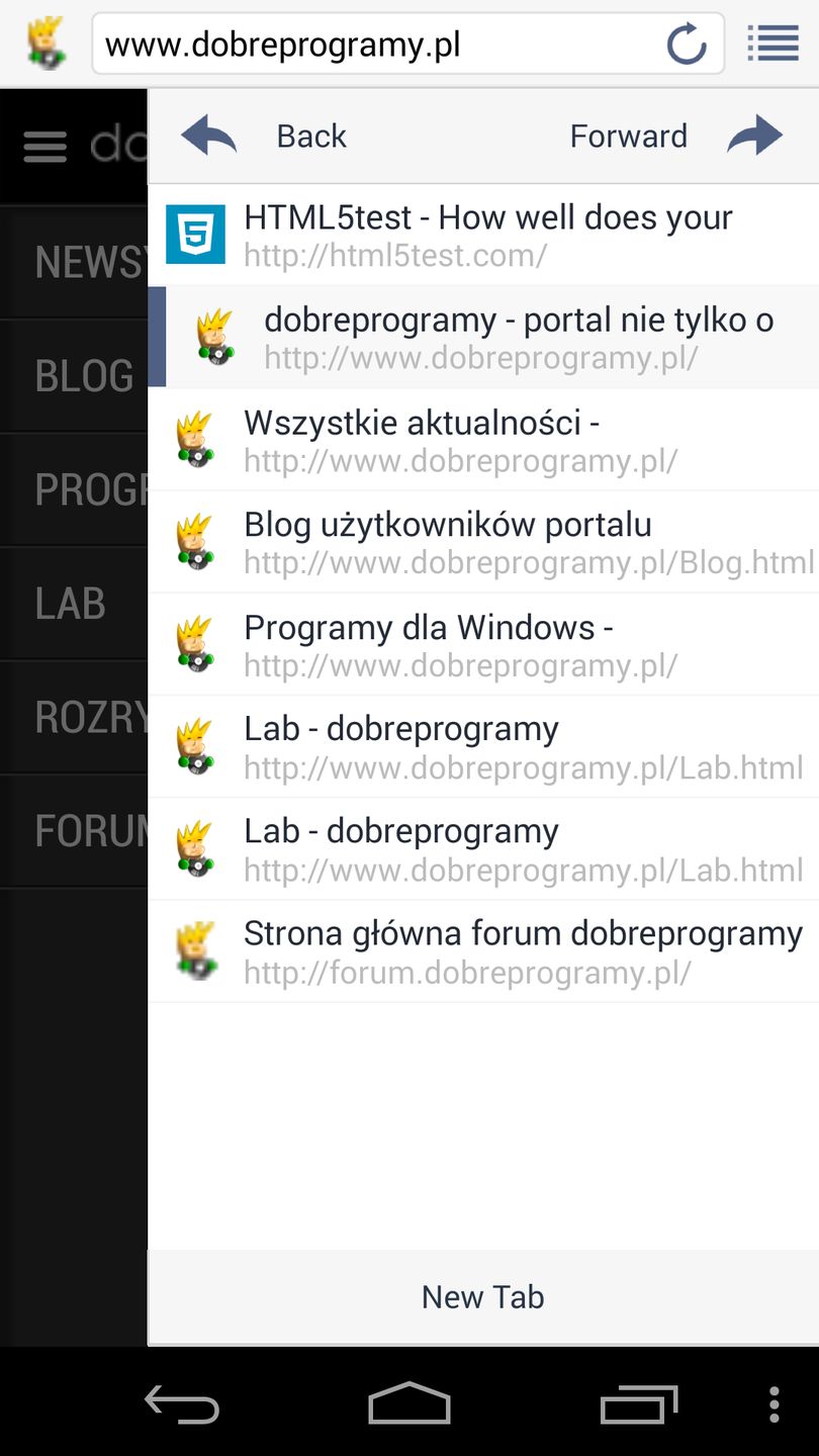 Obraz