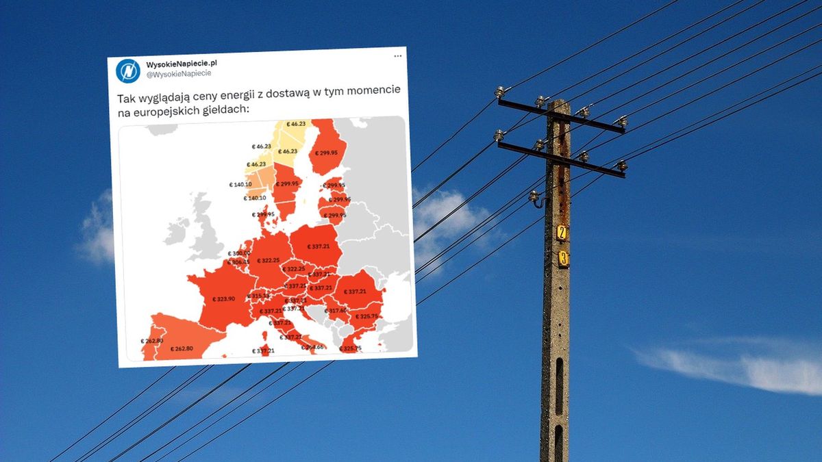 ceny prądu