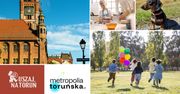 Warsztaty, sztuka i atrakcje dla dzieci. Przed nami intensywny tydzień w Toruniu