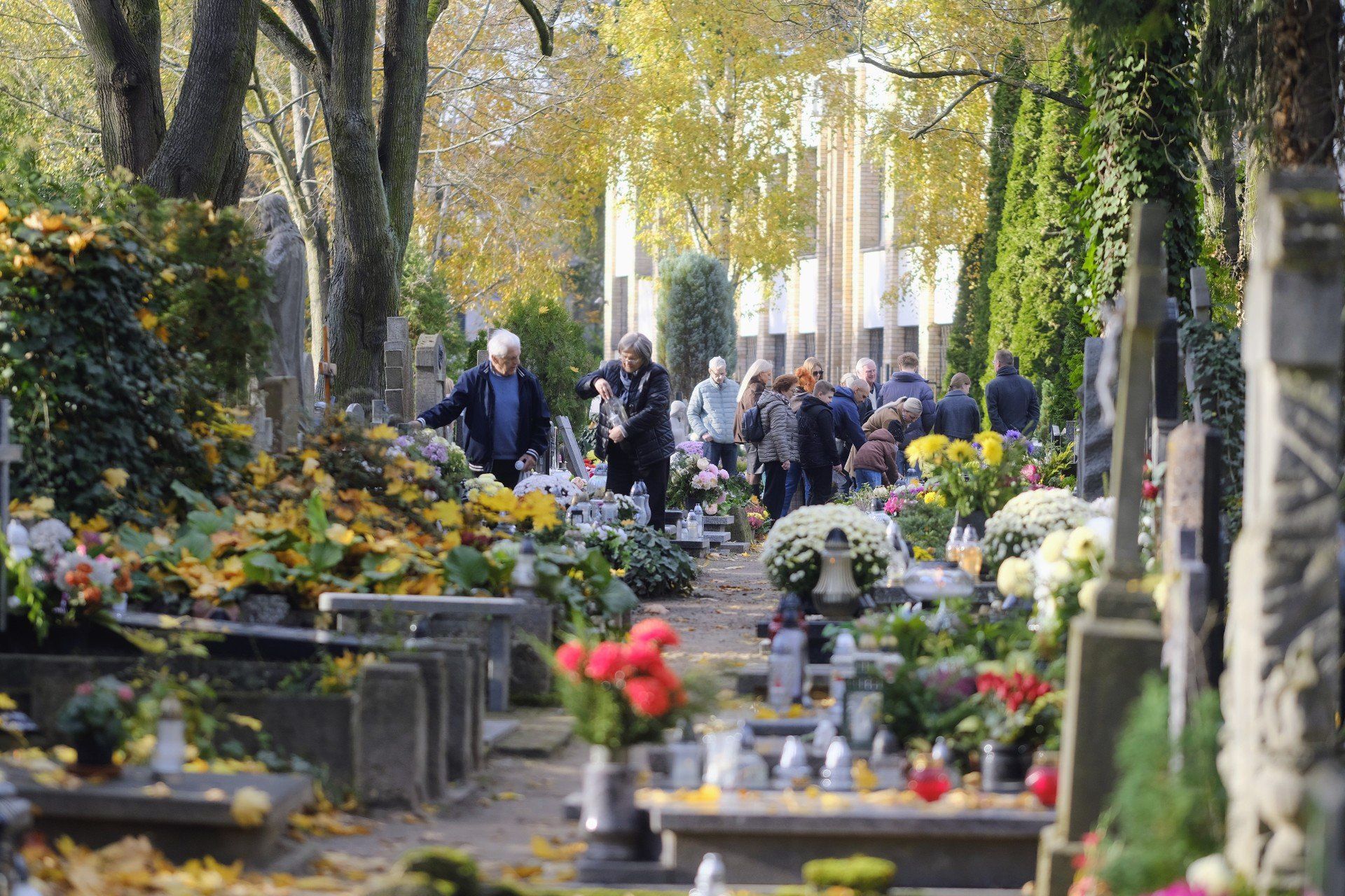 20251101 Cmentarz Jeżycki w Poznaniu