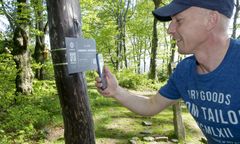 Beskidy. Wisła i Ustroń zachęcają do wyjścia na szlaki