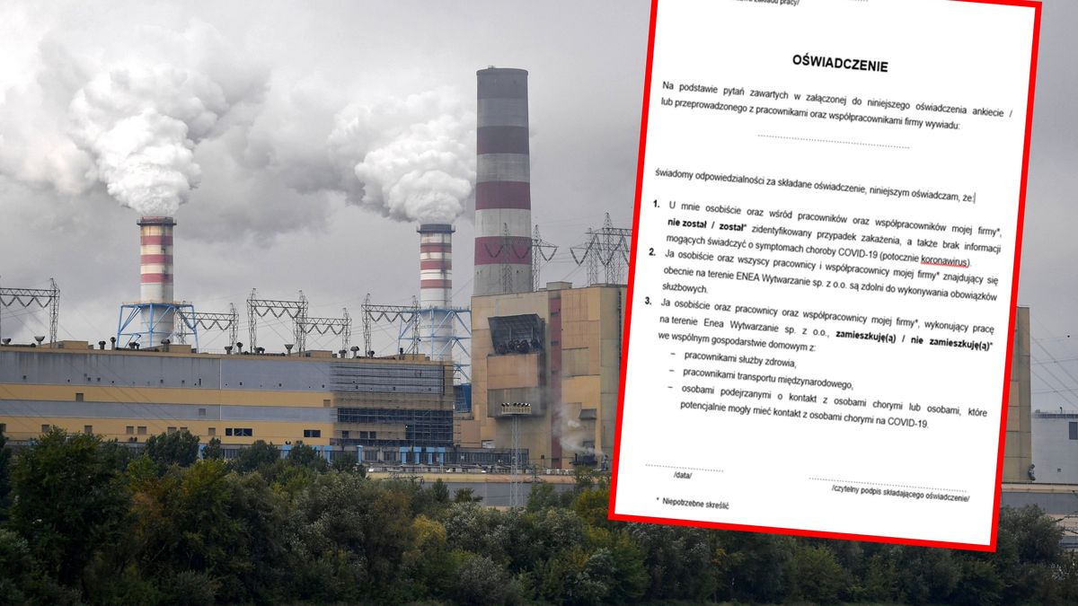 Elektrownia Kozienice