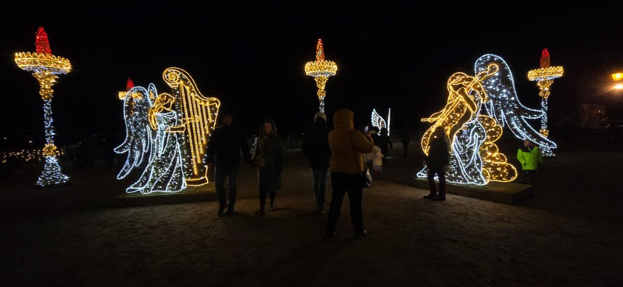 Płockie Ogrody Światła