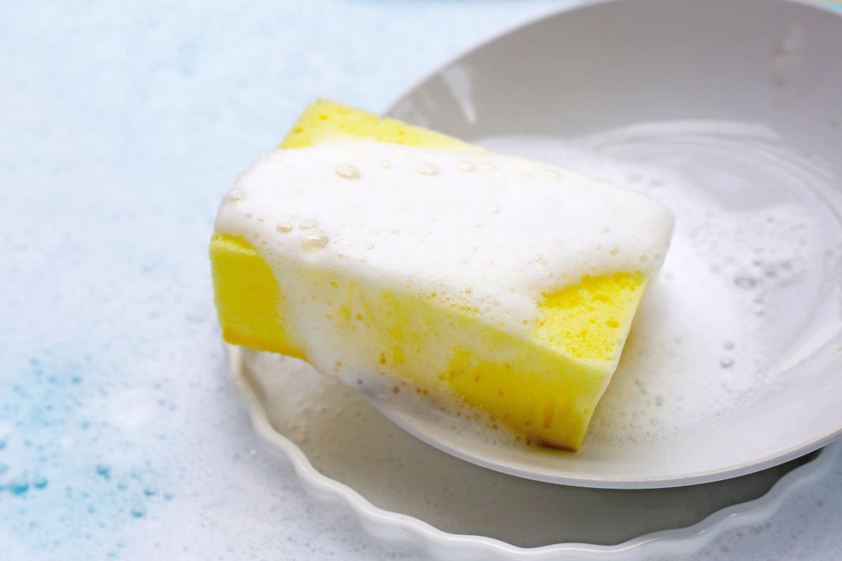 Dirty dish dilemma: Why you should swap your sponge often