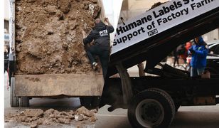 Przymarznięte odchody pokrzyżowały plany aktywistów