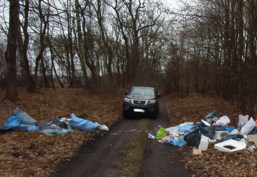 Takie widoki w lesie są niestety zbyt częste