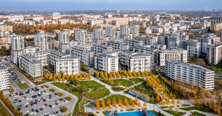 Znajduje pluskwy w apartamentach na wynajem. Plaga w polskim mieście