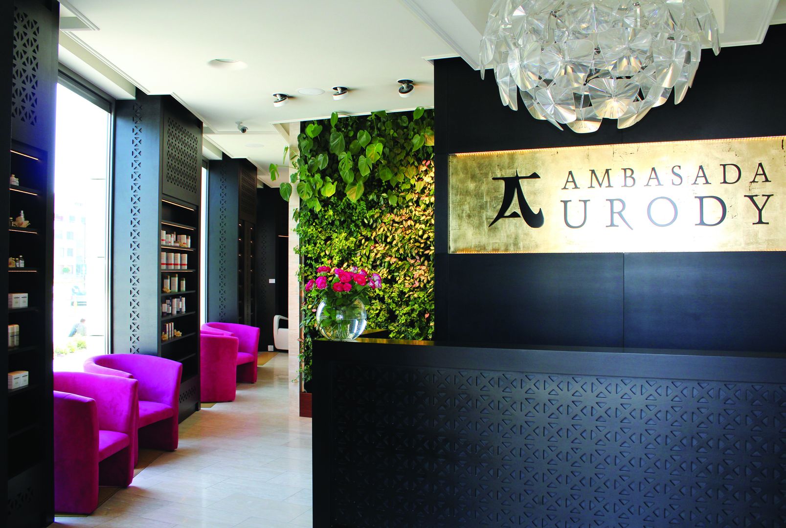 Ambasada Urody