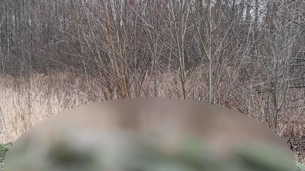 Odkrycie influencerki z Lubelszczyzny