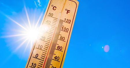 Piekielne upały w Australii. Temperatura przekroczyła 50 st. C