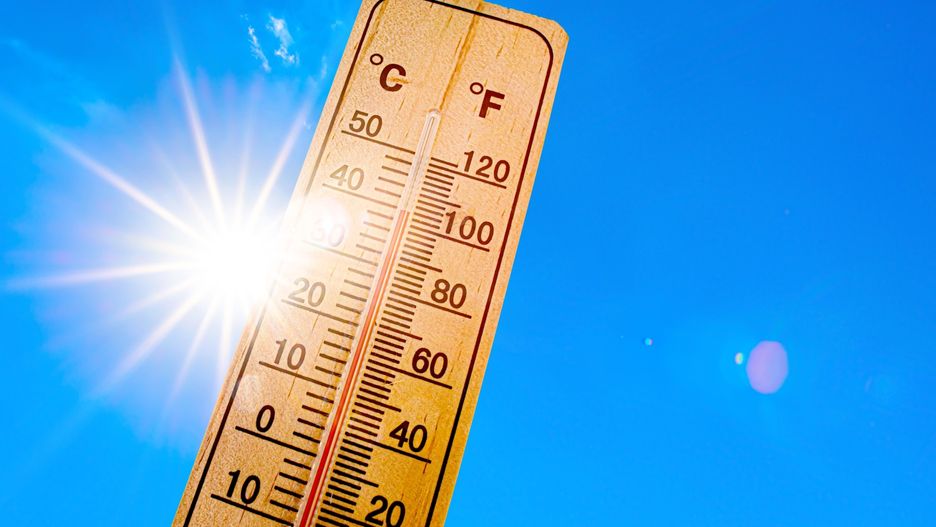W Australii temperatura przekroczyła 50 st. C