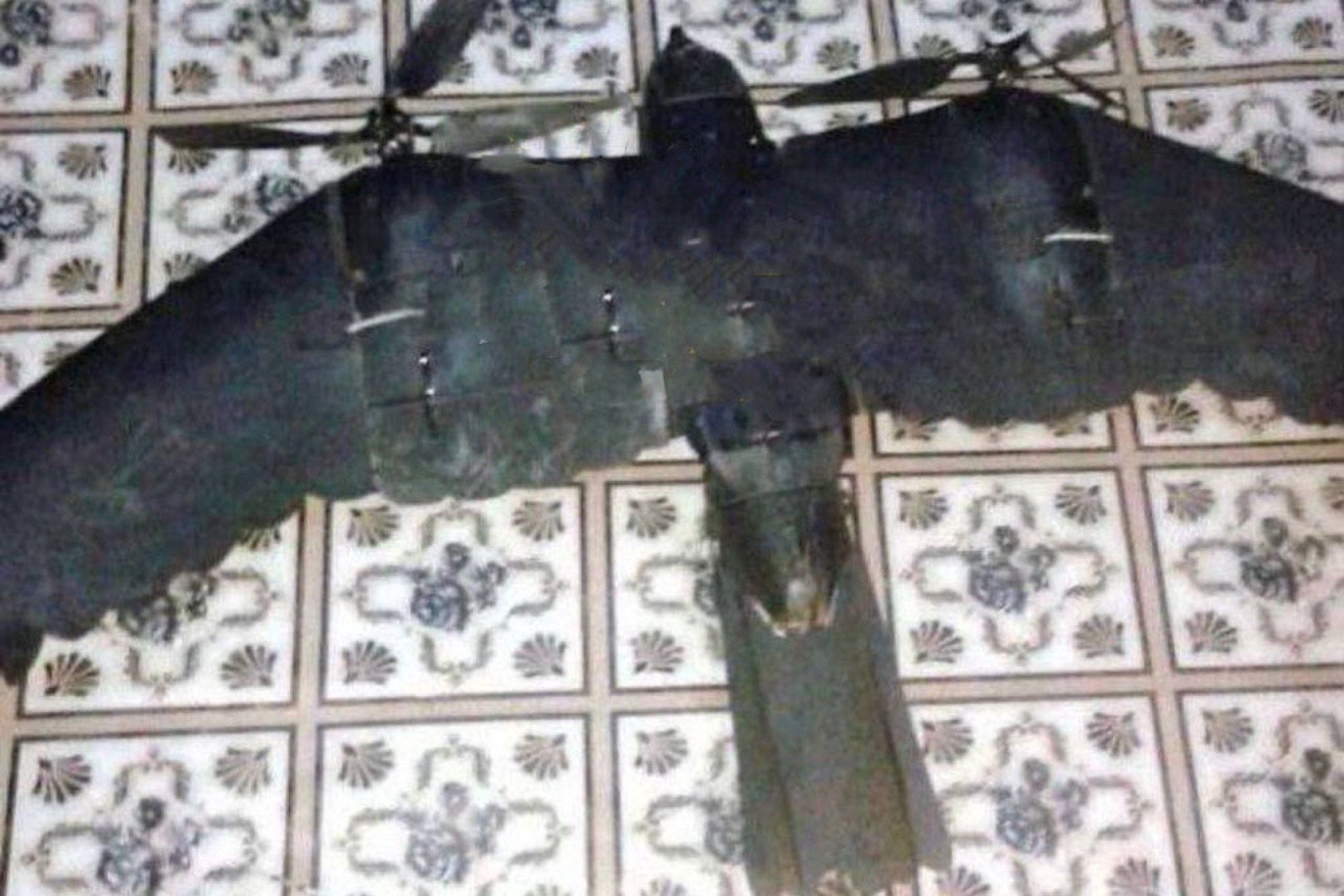 Rozbity rosyjski dron w kształcie ptaka