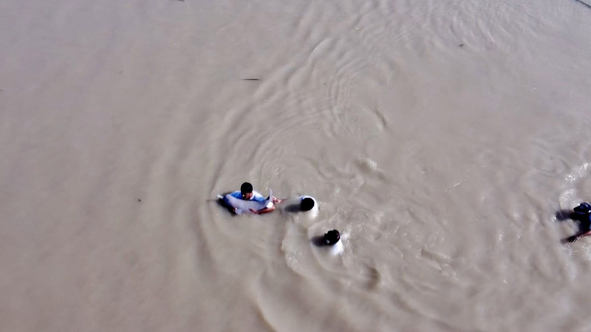 Akcja ratunkowa delfina. Uchwycone dronem zdjęcia wyciskają łzy 4