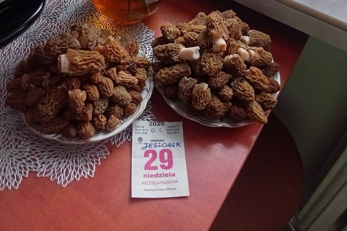 Polak wszedł w czeski las. Pokazał, co nazbierał. Dołączył karteczkę