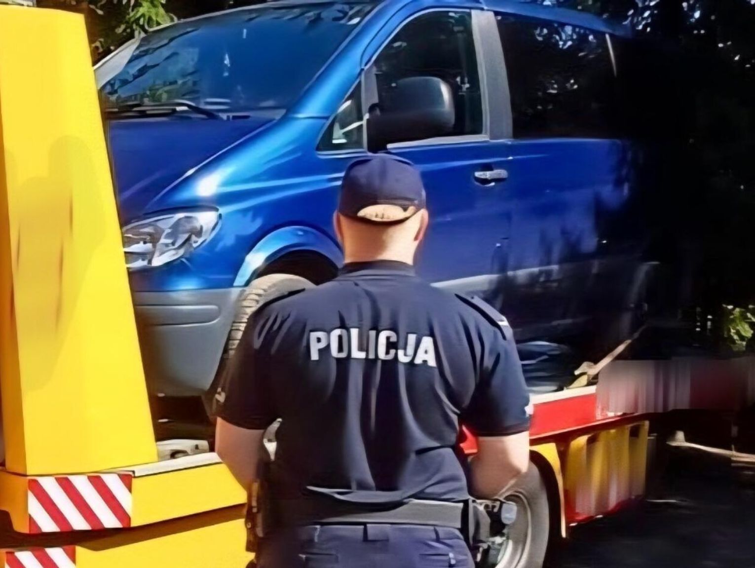 Fot. Licencjodawca