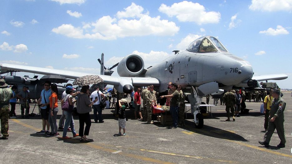 Samoloty szturmowe A-10, zwane Warthogami lub Hogami 