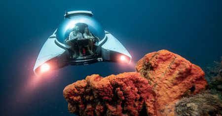 U-Boat Worx Nemo – osobista łódź podwodna