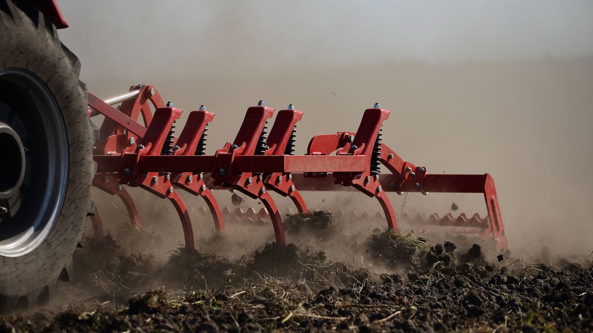 Nie wszystkie produkty rolne podrożały w ciągu roku. Spadły ceny żywca wieprzowego i drobiu oraz kukurydzy i ziemniaków.