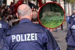 "Dzikie zwierzę" pod Berlinem. Apel policji