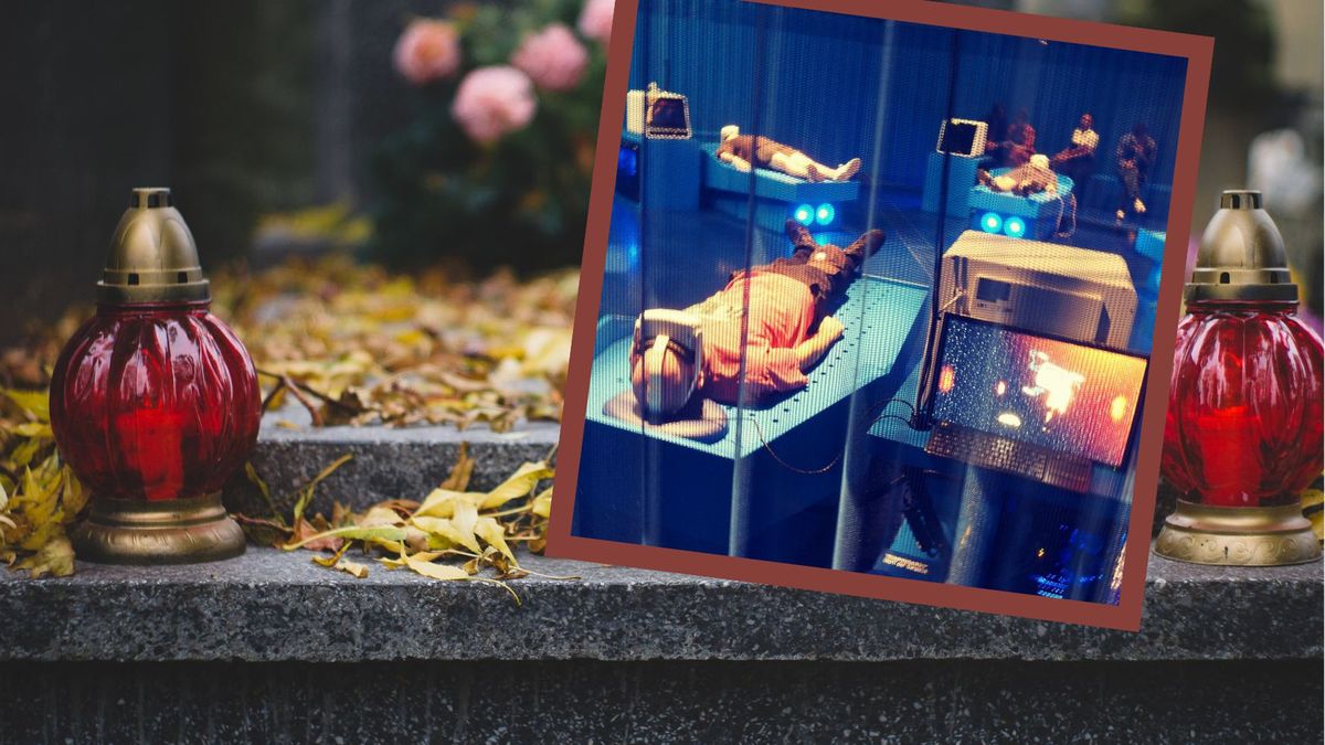 Symulator śmierci w australijskiej galerii sztuki