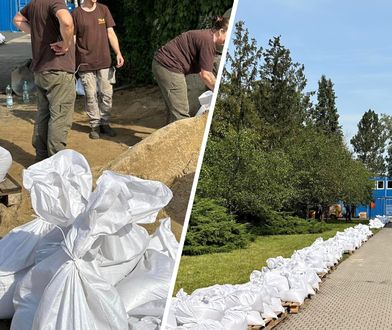 Zoo we Wrocławiu się przygotowuje. Mówią o "wszelkich scenariuszach"