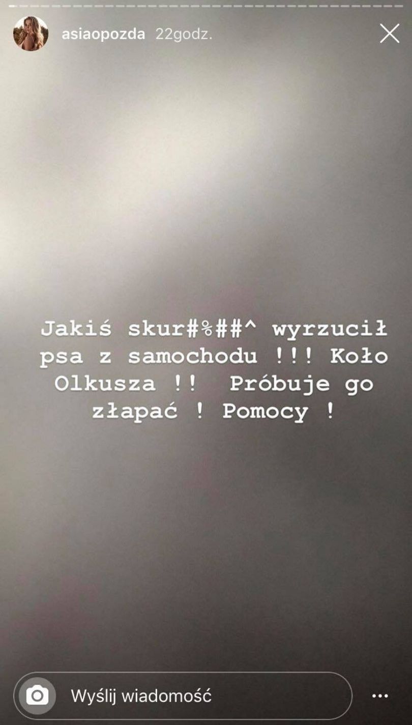 Joanna Opozda świadkiem porzucenia psa na ruchliwej ulicy