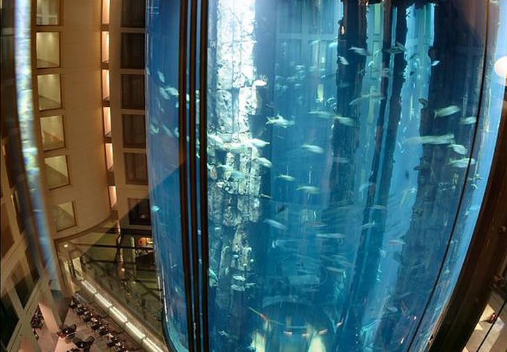 Gigantyczne akwarium wewnątrz hotelu. Aby je obejrzeć, potrzebna jest winda! 7