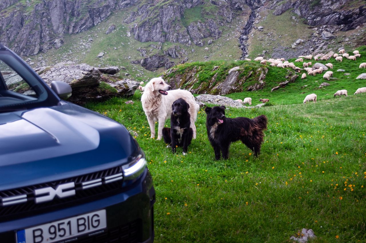 Dacia Explorers Club - Bigster i Duster w Rumunii