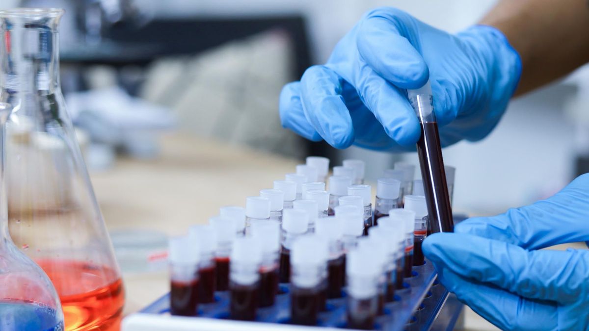 Odkryli nową grupę krwi