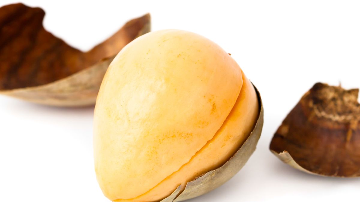 Pestka awokado. Nie wyrzucaj jej