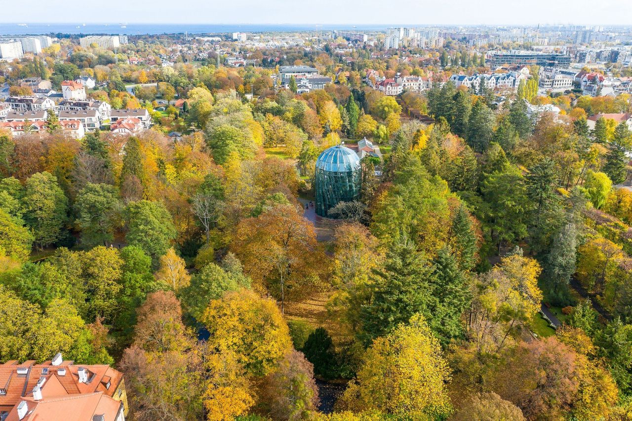 Klimatolog zapowiada, co czeka nas jesienią. Mówi o rekordach