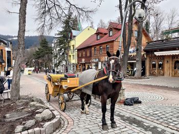 Pogoda w Zakopanem. Prognoza na niedzielę 5 kwietnia. Słonecznie i bez opadów