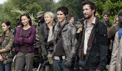 Sześć polskich produkcji jesienią w TV4 (wideo)