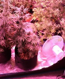 Akcja służb w Raciborzu. Zatrzymano 33-latka