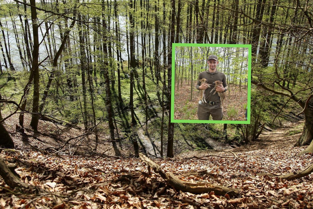 Leśnik był na miejscu. Natychmiast je podniósł. Teraz apeluje