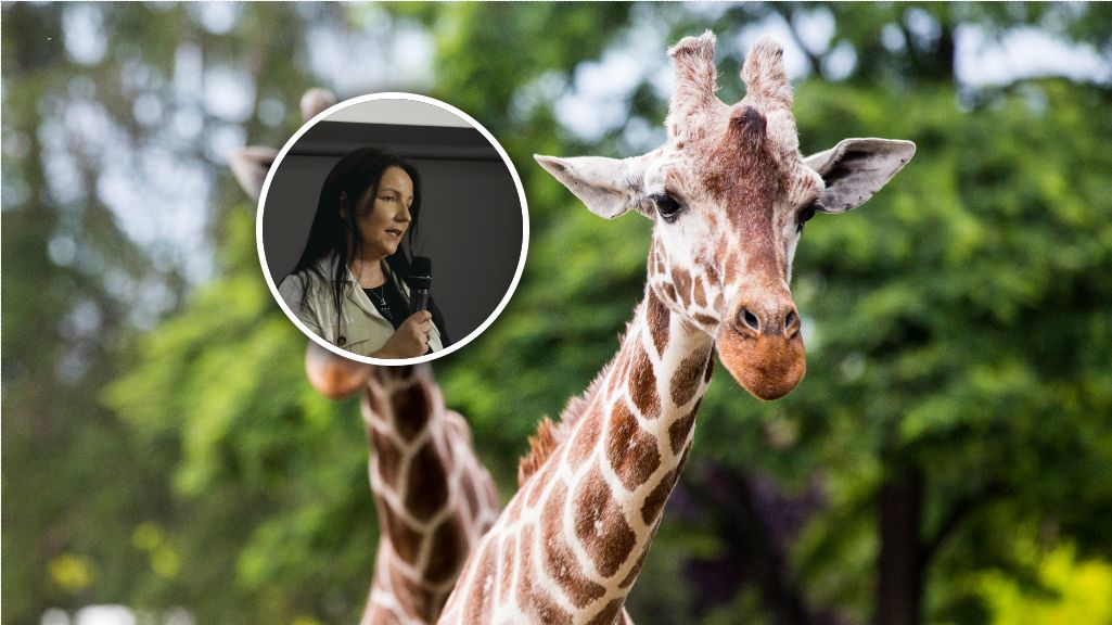 Joanna Kasprzak była prezeską Zoo Wrocław od marca 2022 r. do 