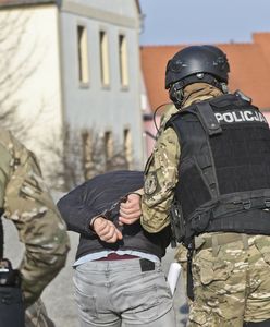 Między słodyczami ukryli narkotyki. Towar za 18 mln pójdzie z dymem