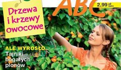 Burda wydaje nowy dwumiesięcznik dla działkowców „Ogrodnicze ABC”