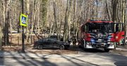 Ogień na sopockim cmentarzu. Na miejscu pracowali strażacy i policjanci