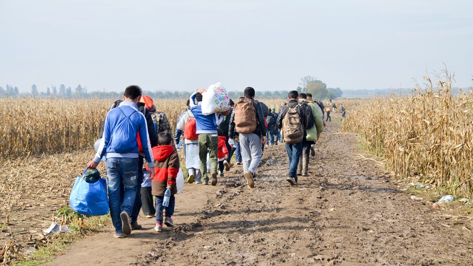 afghanistan, aid, asylum, balkan route, balkans, belgrade, border, camp, croatia, crossing border, crowd, crowded, deportation, dirt, emigration, escape, eu, european migrant crisis, european union, exodus, family, flee, food, food line, group, homeless, humanitarian, humanitarian catastrophe, humanitarian crisis, hungry, illegal, immigration, migrant, minefield, mountain, mud, pakistan, people, refugee, refugee crisis, serbia, shelter, stuck, survive, syria, tragedy, transit, trapped, walk, war