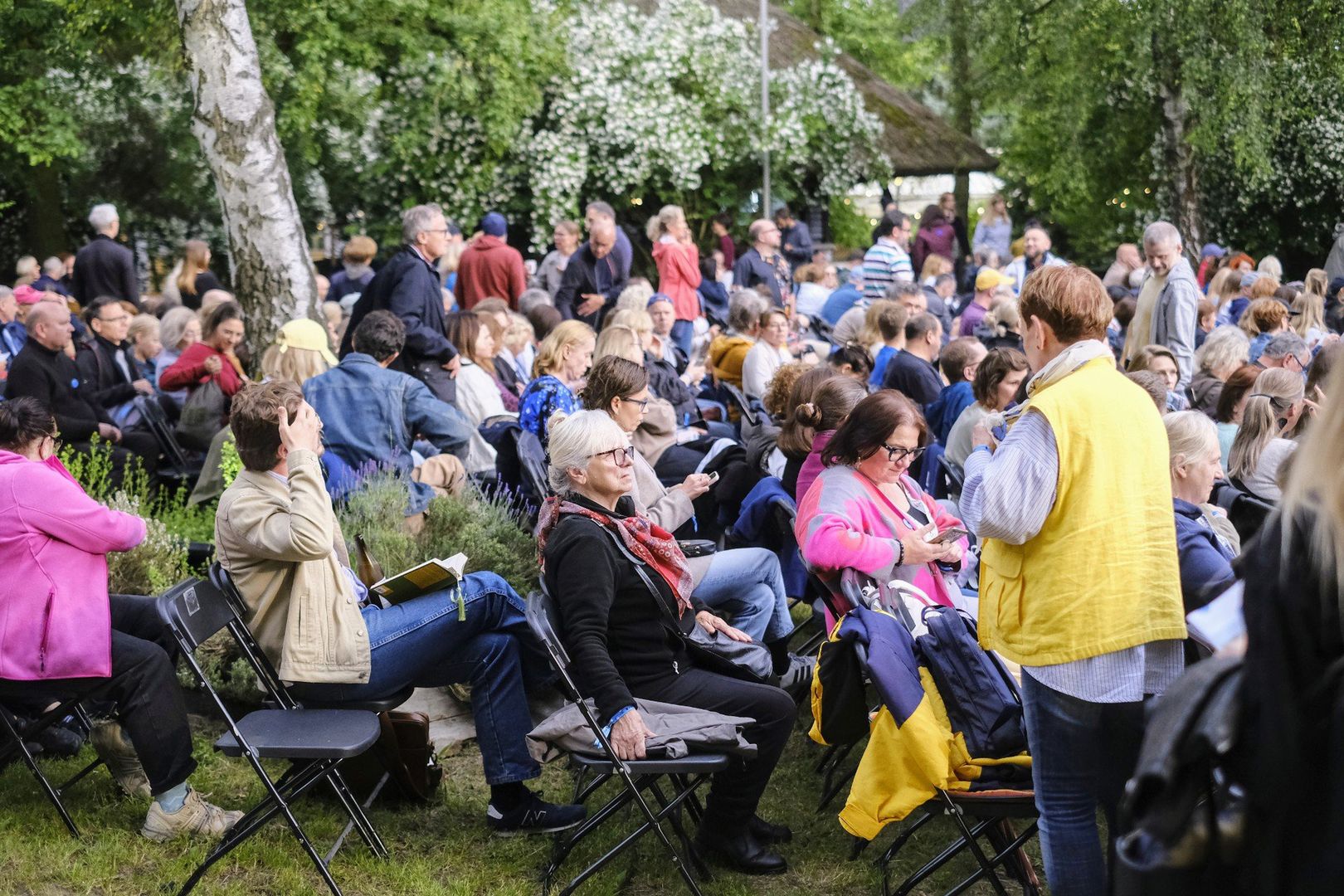 Enter Enea Festival 2025