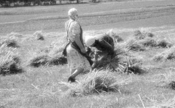 Dziś prawie nikt nie używa tych słów. 11/11? Czapki z głów