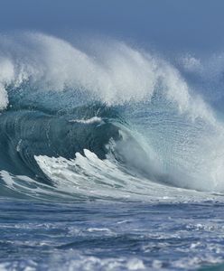 Coś dziwnego dzieje się ze światowym oceanem. Wszystko z powodu zmian klimatu