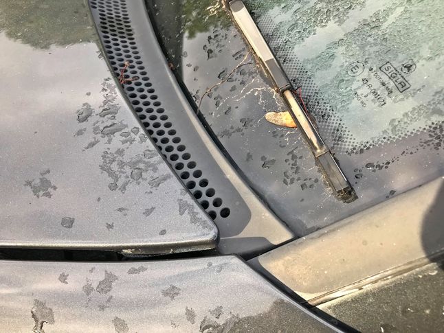 W starych autach niemal pewne jest, że odpływy podszybia są zapchane.