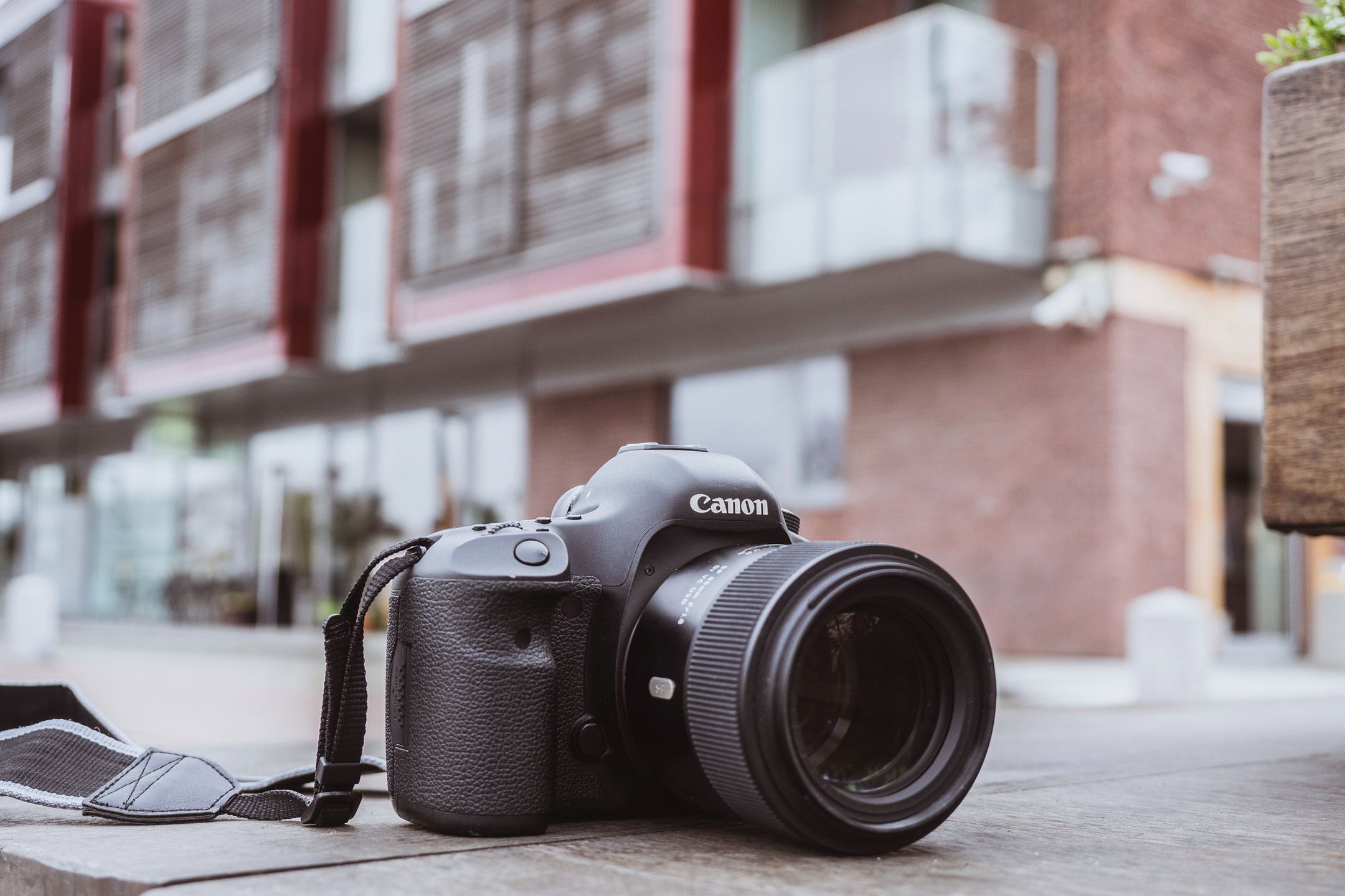 Tamron SP 85 mm f/1.8 Di VC USD - dobra, stabilizowana portretówa [recenzja] 3
