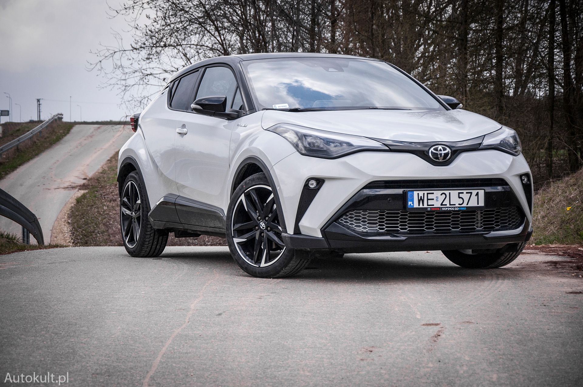 Zdjęcie ilustracyjne do artykułu