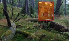 Przełom ws. legendarnej komnaty? Trop prowadzi na Kaszuby