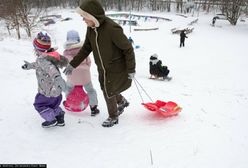 800 plus na dziecko. ZUS przekazał terminy przelewów