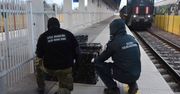 Celnicy osłupieli. Ukryli je w pociągu z Białorusi