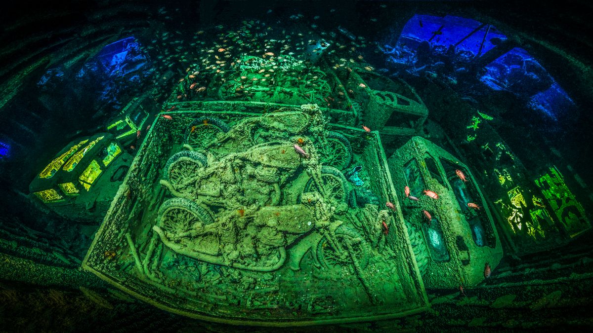 Underwater Photographer of the Year 2018 - niesamowity podwodny świat na wyciągnięcie ręki 1